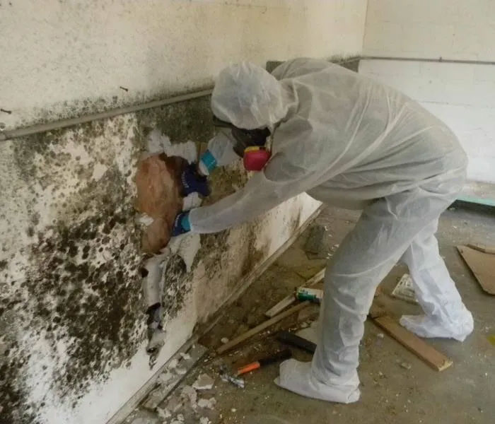 Technician measuring moisture source to prevent recurrence