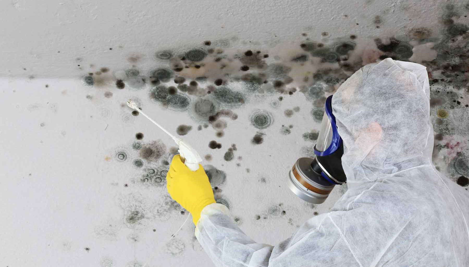 Mold remediation with HEPA filtration and containment
