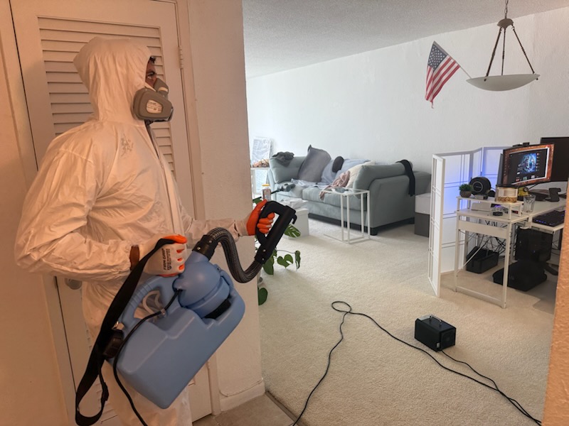Mold remediation with HEPA filtration