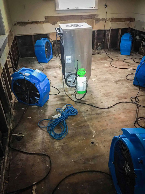 Technician operating water extraction and drying equipment
